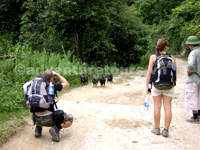 Randonnée à la vallée Mai Chau 