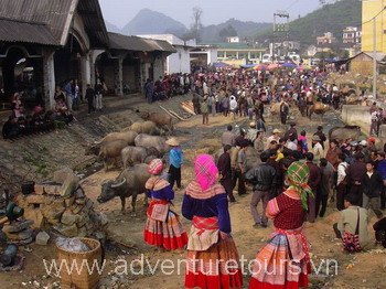 marché Bacha à Sapa